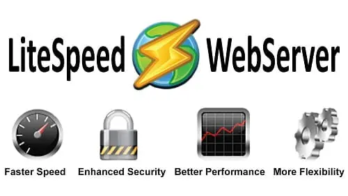 Reach top website speeds with Litespeed Webserver - Fast web hosting solutions from Load Toad Networks | Tampa Tech Wire - Technology News Around Tampa Bay